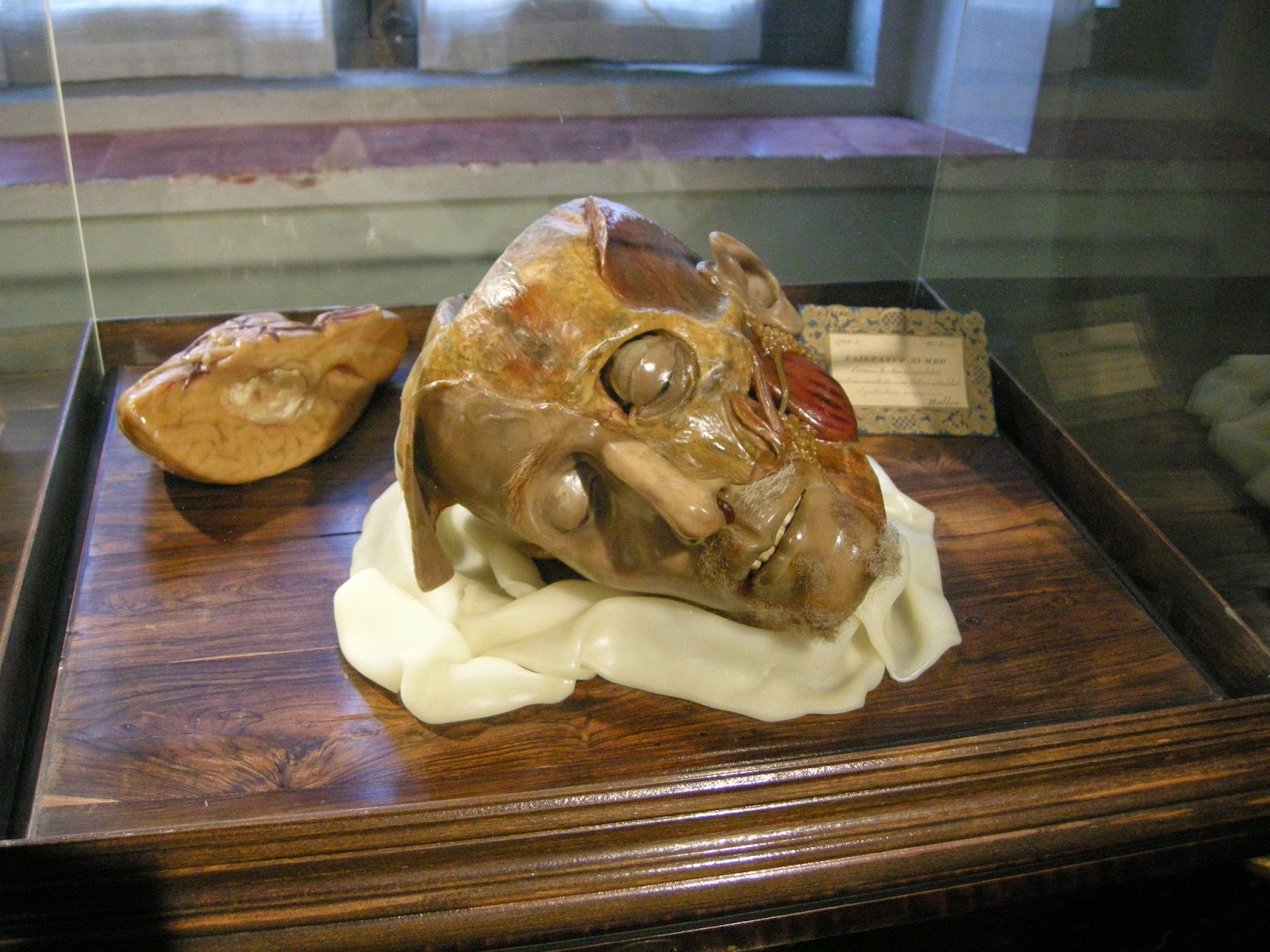 Zumbo's Wax Head