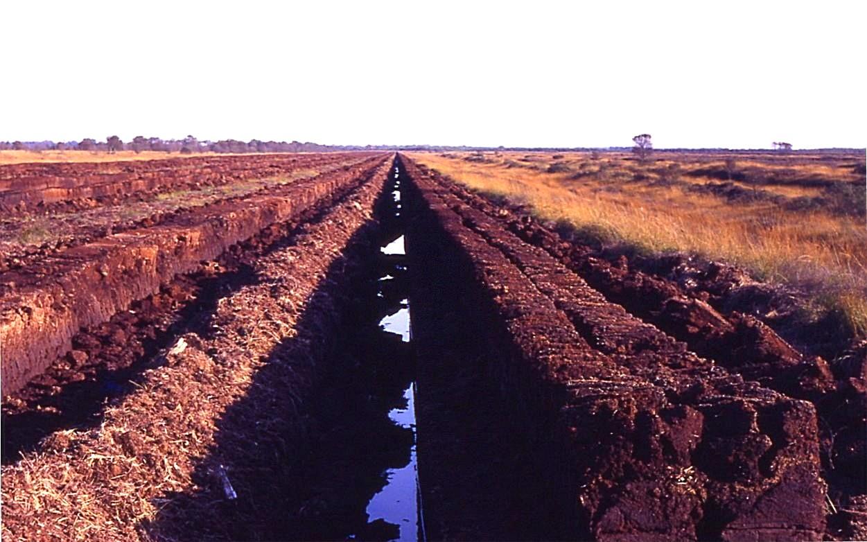 Peat extraction in East Frisia, Germany