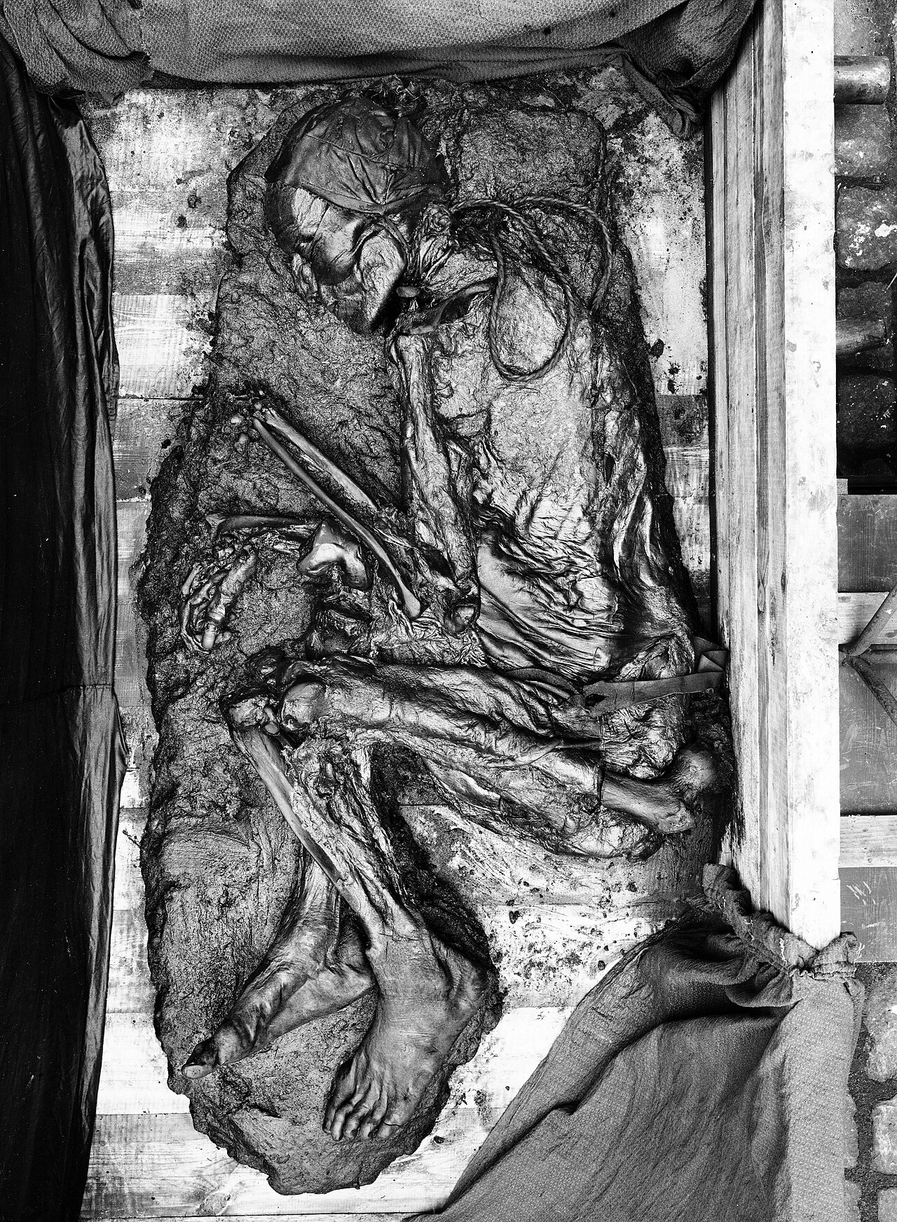 Tollund Man