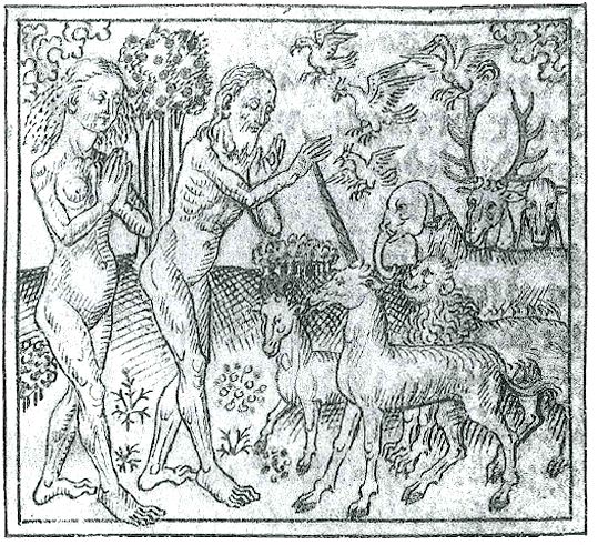 1440 Adam naming the animals