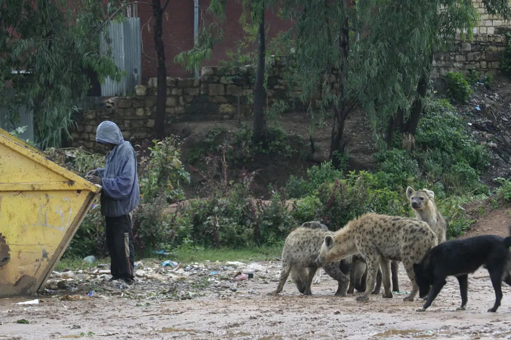 (Marcus Baynes-Rock)