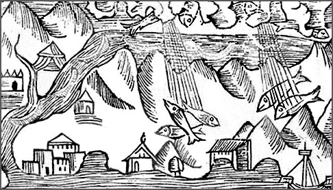 4 ⁄ 4 More details 1555 engraving of rain of fish
