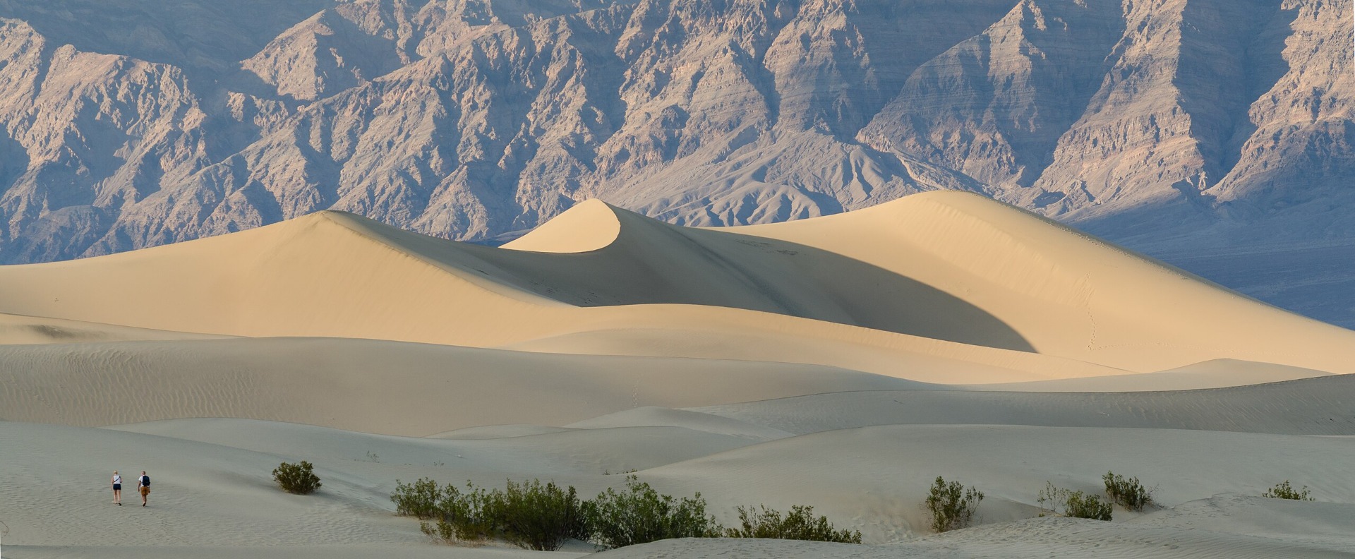  Mesquite Flats Sand Dunes in Death Valley  (Tuxyso)